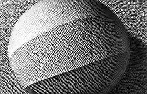 The Long-Term Holder Paradox: Fidelity's Data and the Institutional Signal That Isn't