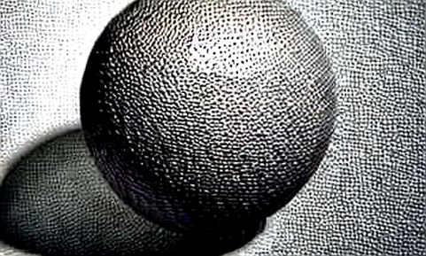 The Signal in the Void: When Zero Data Speaks Louder Than Any Narrative