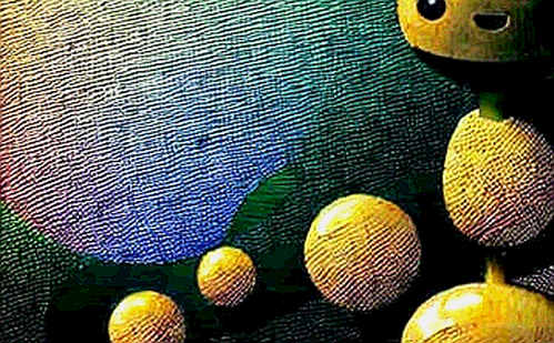 The Cracks in the Bitcoin Treasury Model: Twenty One Capital's Existential Reckoning The Cracks in the Bitcoin Treasury Model: Twenty One Capital's Existential Reckoning