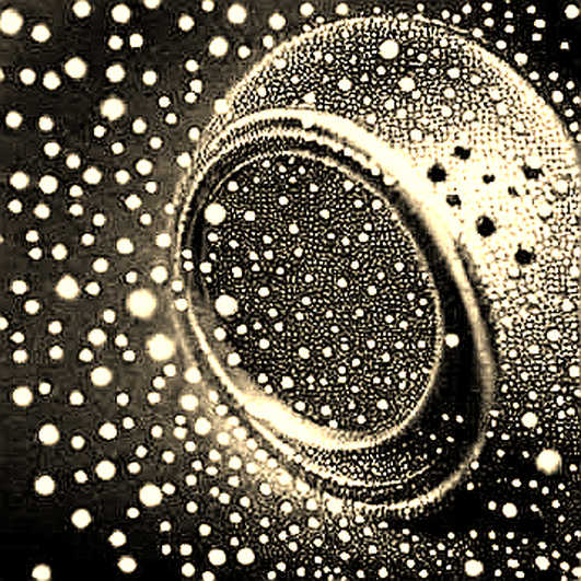 The $25 Million Signal: How USSS Just Rewrote the Rules of Crypto Forensics