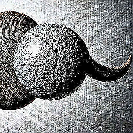The Blob Saturation Paradox: Why Post-Dencun Layer2 Economics Are About to Flip